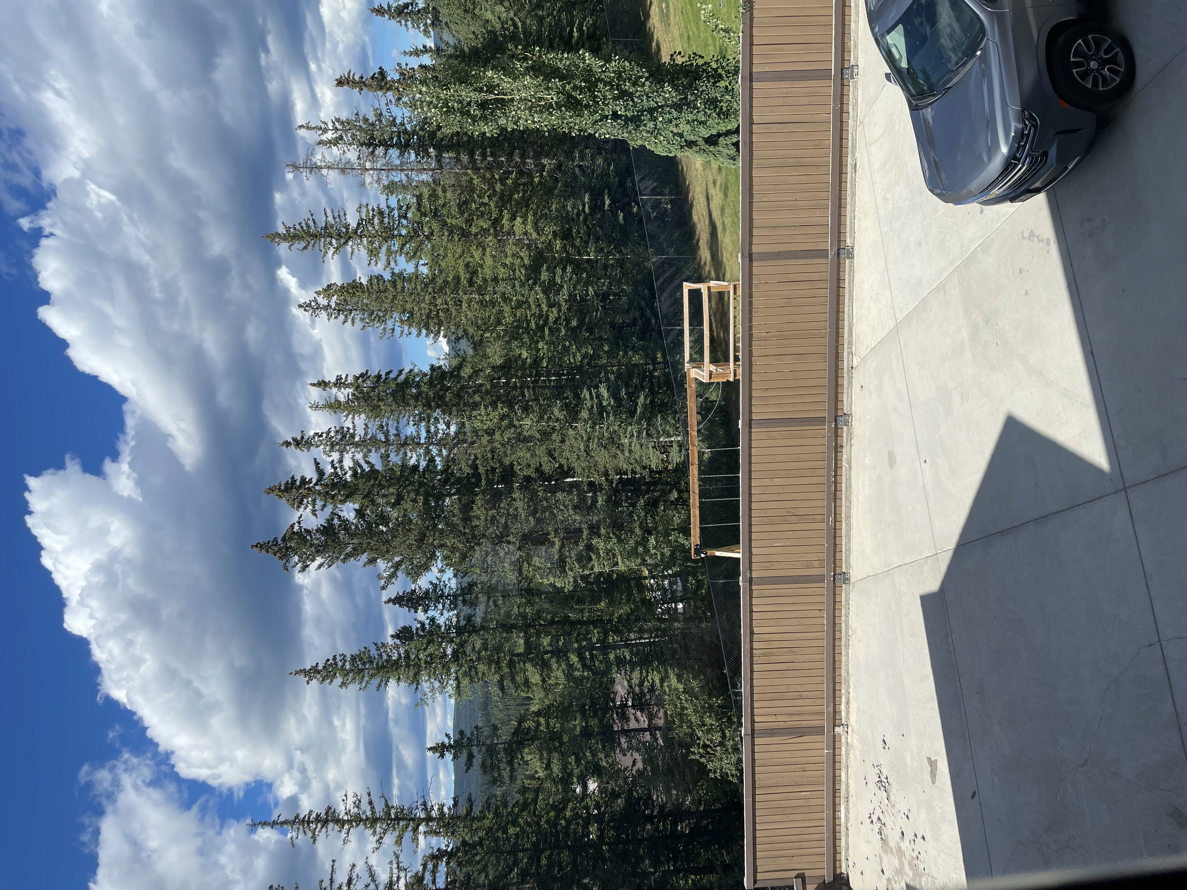 Expansive lawn behind the mansion